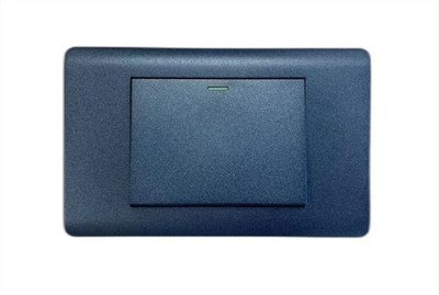 Общ международен превключвател